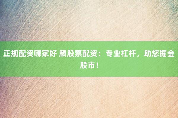 正规配资哪家好 麟股票配资：专业杠杆，助您掘金股市！